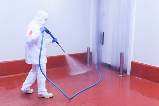 Best Restaurant Pressure Washing  in Clute, TX