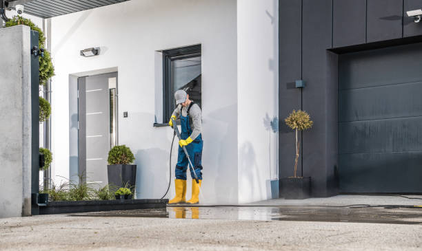 Best Solar Panel Cleaning  in Clute, TX